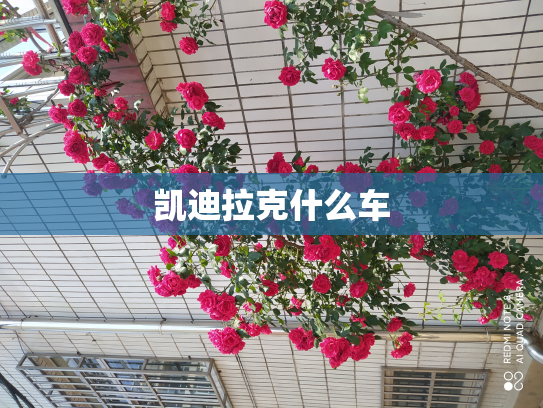 凯迪拉克什么车