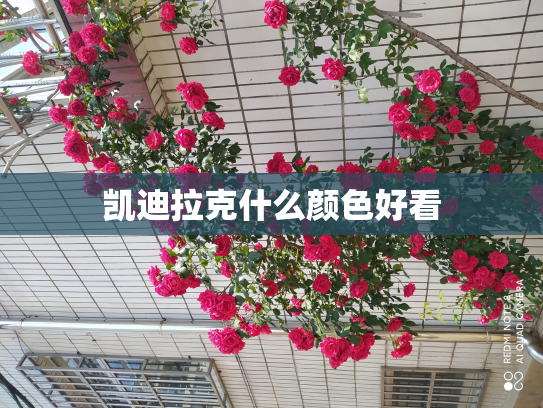 凯迪拉克什么颜色好看