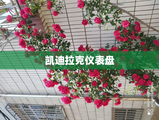 凯迪拉克仪表盘