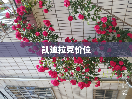 凯迪拉克价位