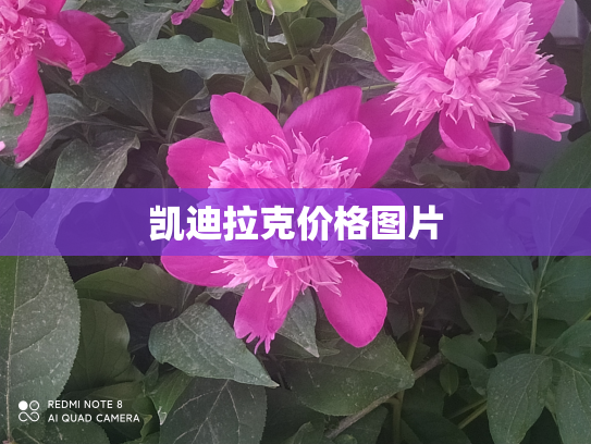 凯迪拉克价格图片
