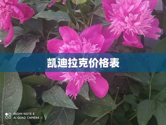 凯迪拉克价格表
