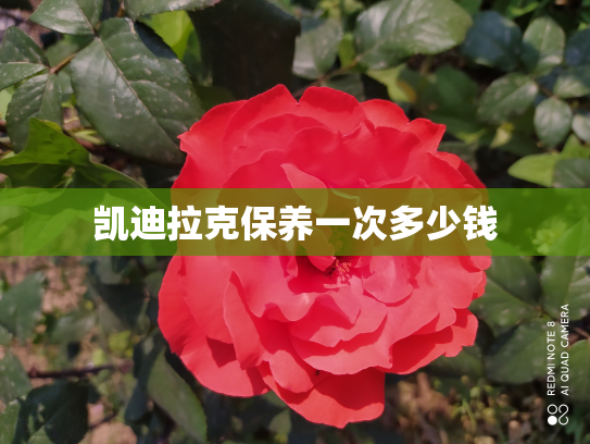凯迪拉克保养一次多少钱