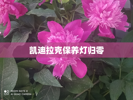 凯迪拉克保养灯归零