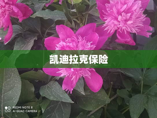 凯迪拉克保险