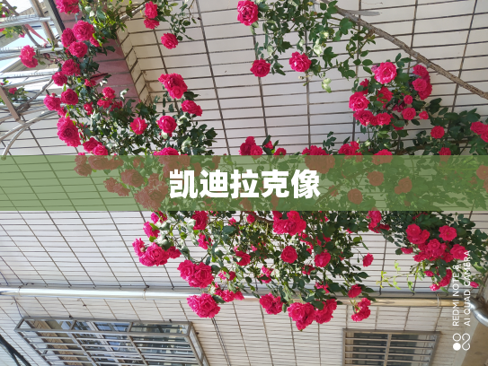 凯迪拉克像