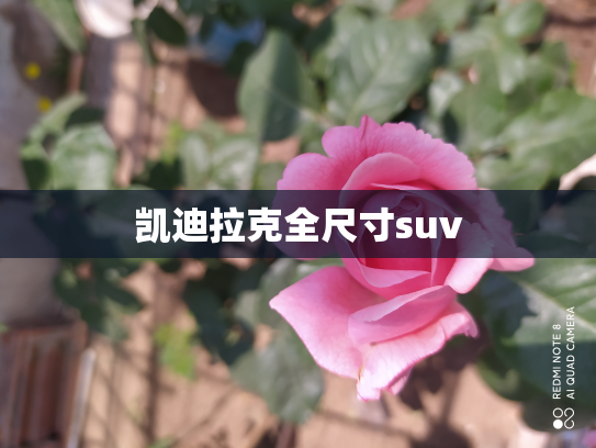 凯迪拉克全尺寸suv