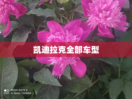 凯迪拉克全部车型