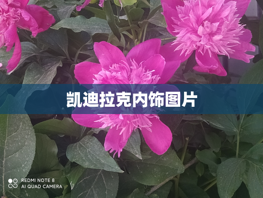 凯迪拉克内饰图片