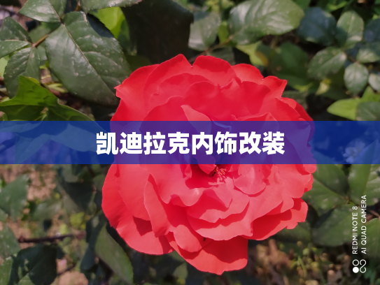 凯迪拉克内饰改装