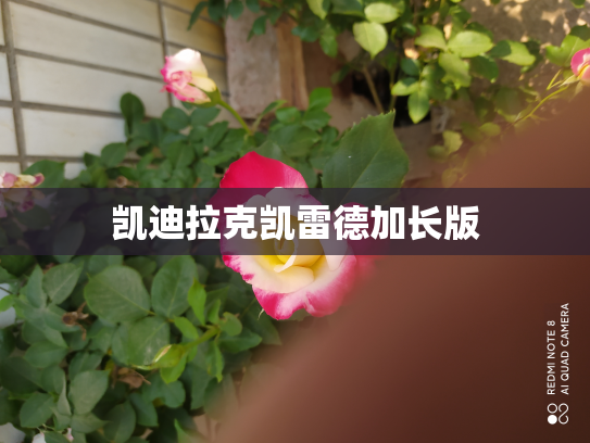 凯迪拉克凯雷德加长版
