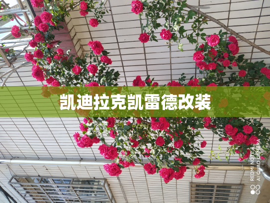 凯迪拉克凯雷德改装