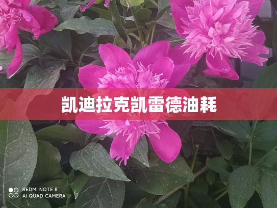 凯迪拉克凯雷德油耗