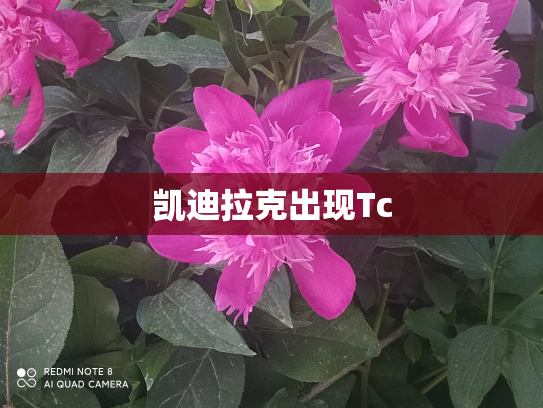 凯迪拉克出现Tc