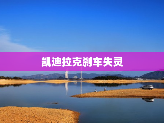 凯迪拉克刹车失灵