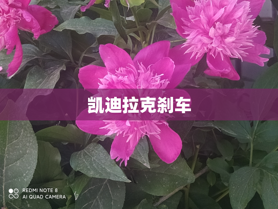 凯迪拉克刹车