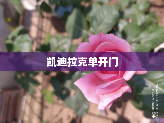 凯迪拉克单开门