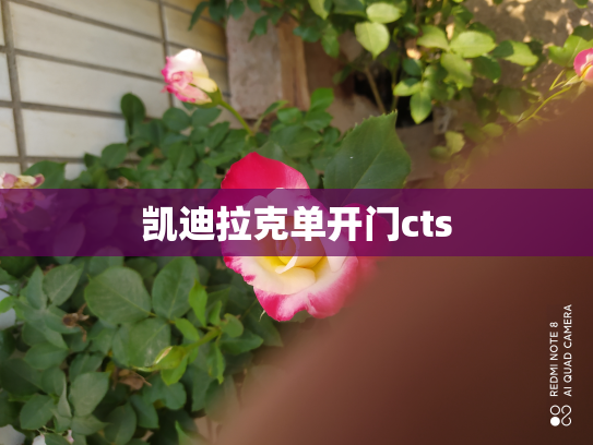 凯迪拉克单开门cts