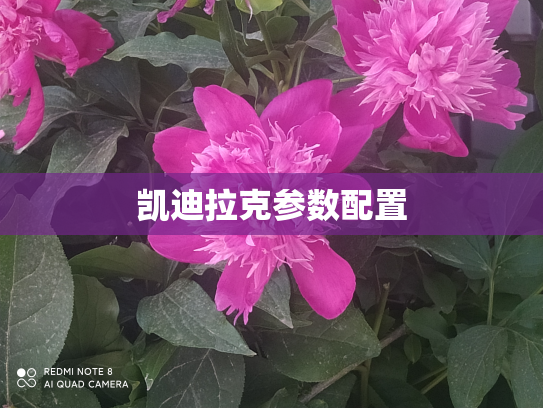 凯迪拉克参数配置