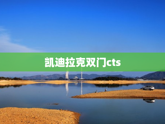 凯迪拉克双门cts