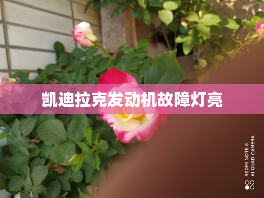凯迪拉克发动机故障灯亮