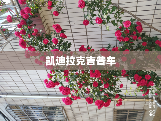 凯迪拉克吉普车