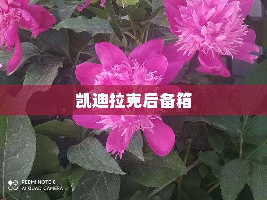 凯迪拉克后备箱