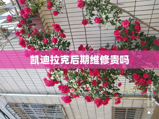 凯迪拉克后期维修贵吗