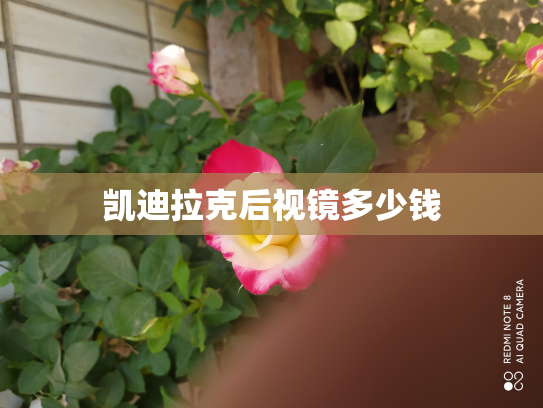 凯迪拉克后视镜多少钱