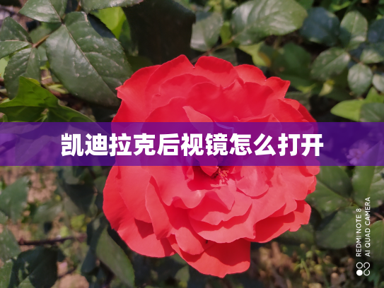 凯迪拉克后视镜怎么打开