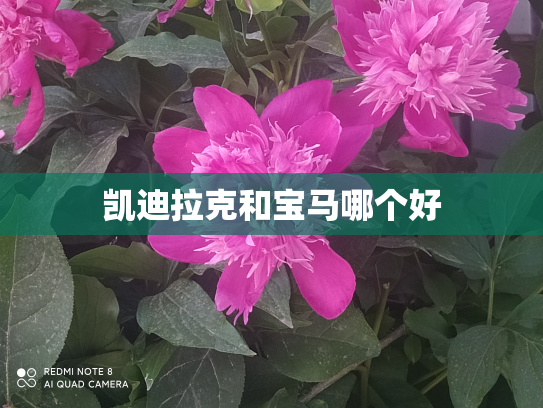 凯迪拉克和宝马哪个好