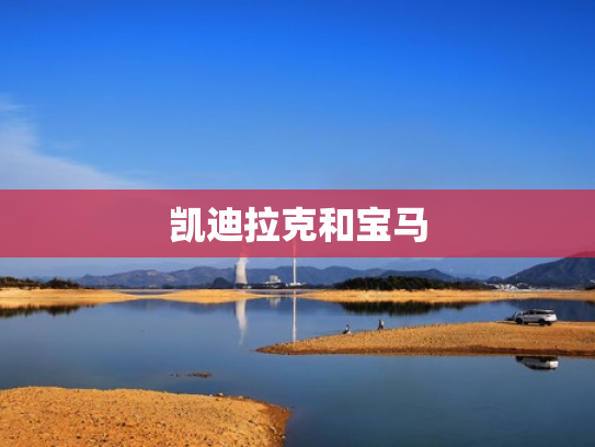 凯迪拉克和宝马