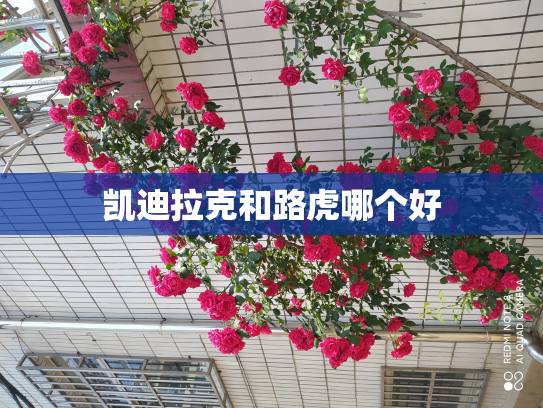 凯迪拉克和路虎哪个好