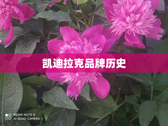 凯迪拉克品牌历史