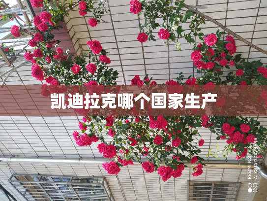 凯迪拉克哪个国家生产