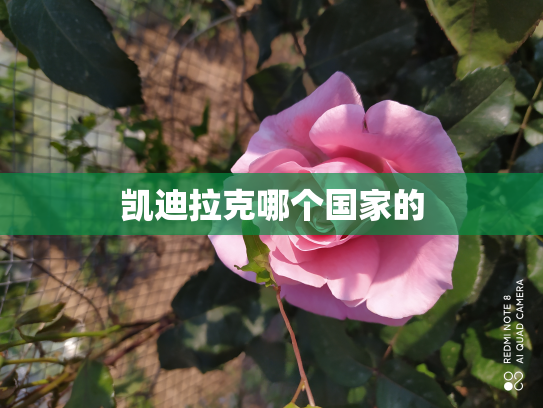 凯迪拉克哪个国家的