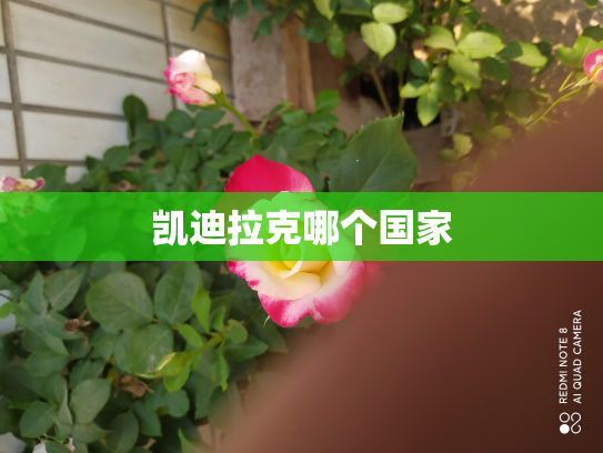凯迪拉克哪个国家