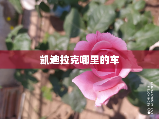凯迪拉克哪里的车