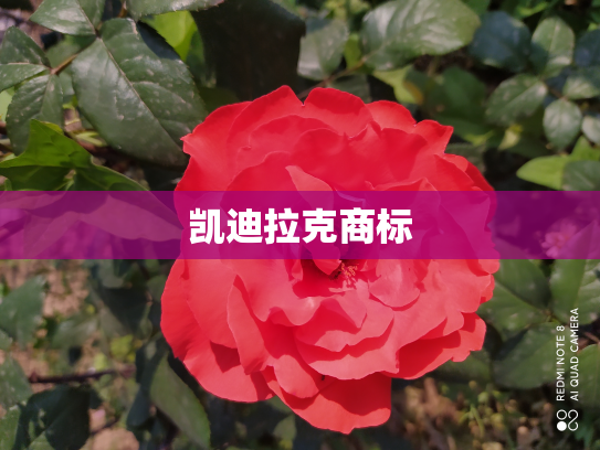 凯迪拉克商标
