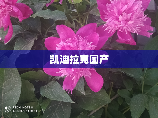 凯迪拉克国产
