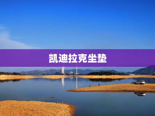 凯迪拉克坐垫