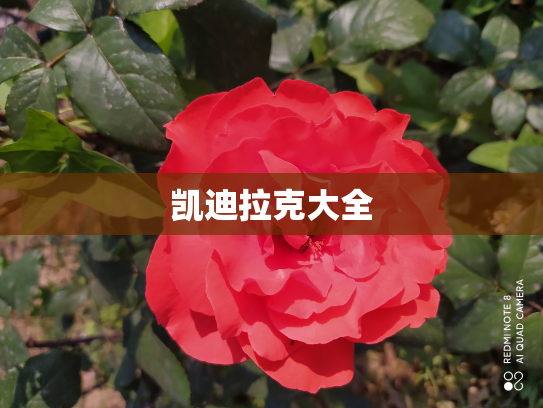 凯迪拉克大全