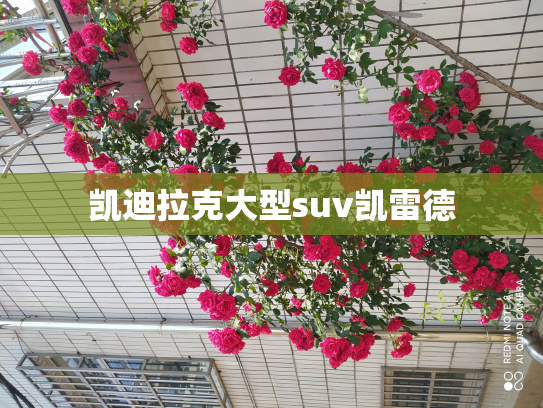 凯迪拉克大型suv凯雷德