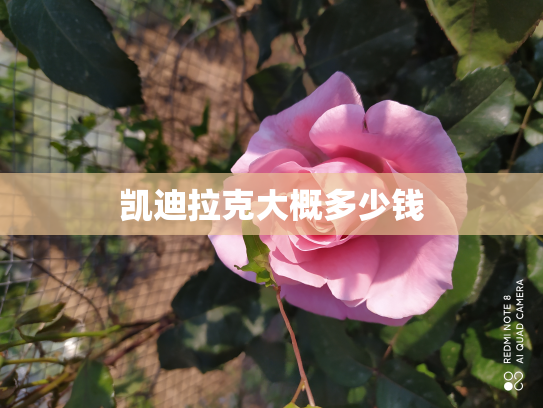 凯迪拉克大概多少钱