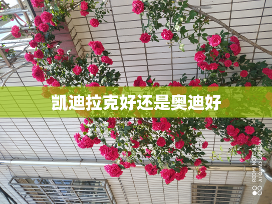 凯迪拉克好还是奥迪好