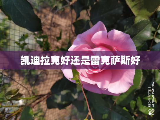 凯迪拉克好还是雷克萨斯好