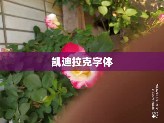 凯迪拉克字体