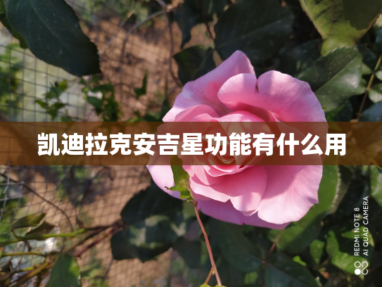 凯迪拉克安吉星功能有什么用