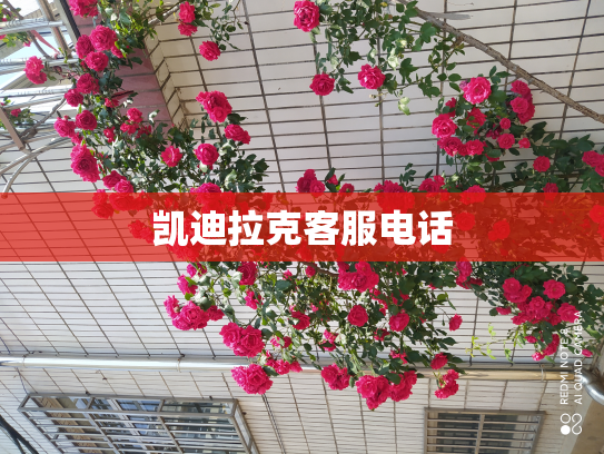 凯迪拉克客服电话