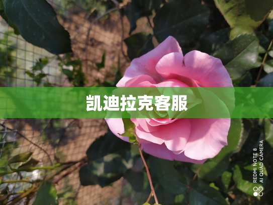 凯迪拉克客服